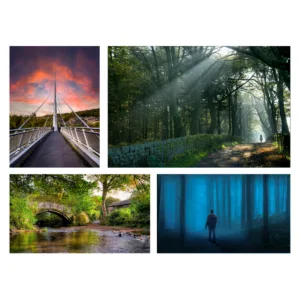 Bingley Photo Open